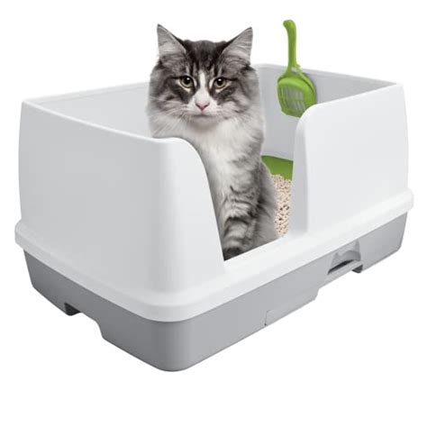 amazon uk cat litter